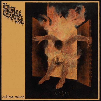 BLACK CURSE (USA) - “Endless Wound” - Digipack CD 2020 - Sepulchral Voice Records BLACK CURSE (USA) - “Endless Wound” - Digipack CD 2020 - Sepulchral Voice Records